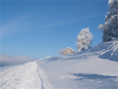 Ferienhütte Oberdorf im Winter